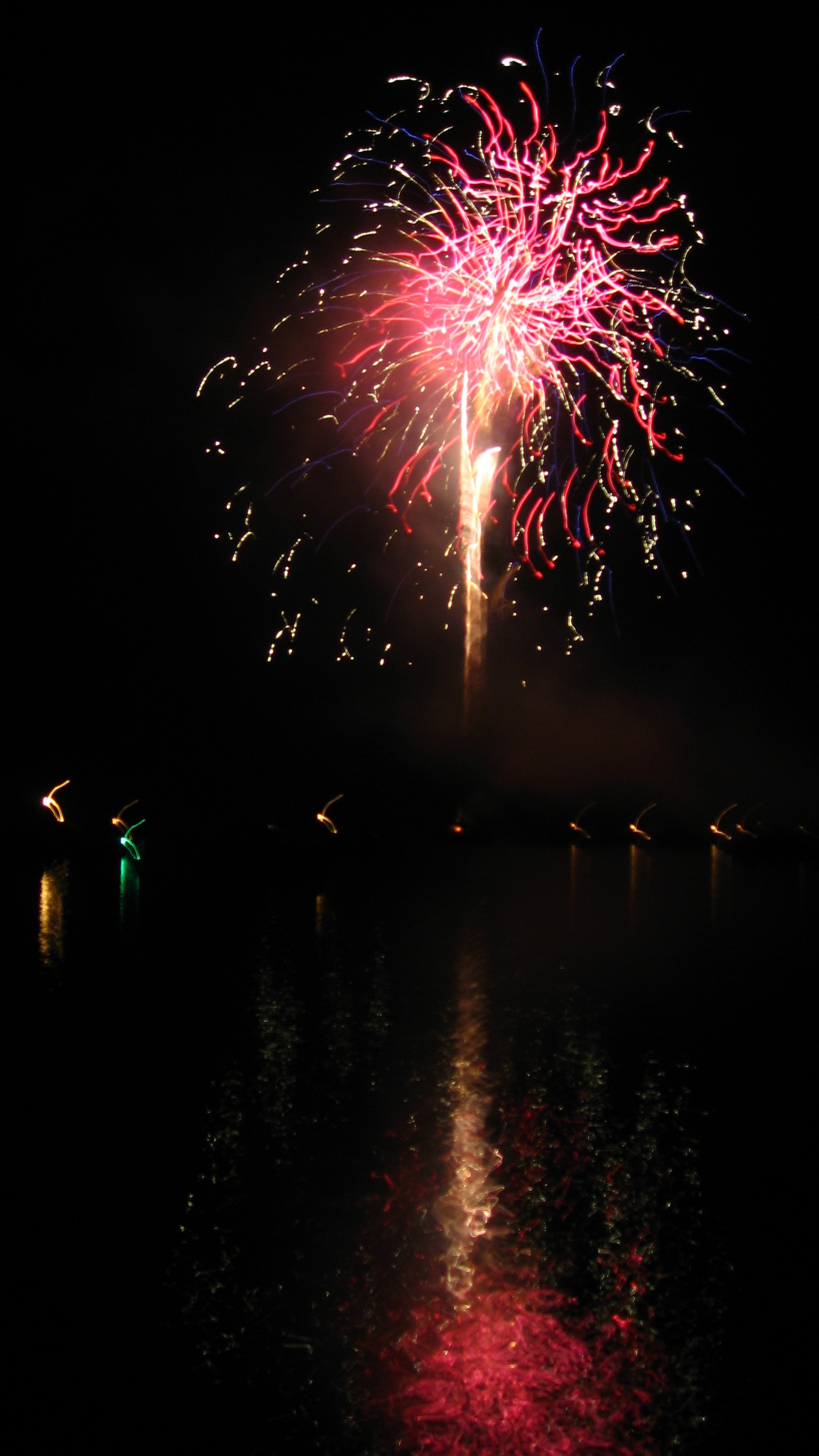 Fireworks on the lake Heather Shrewsbury